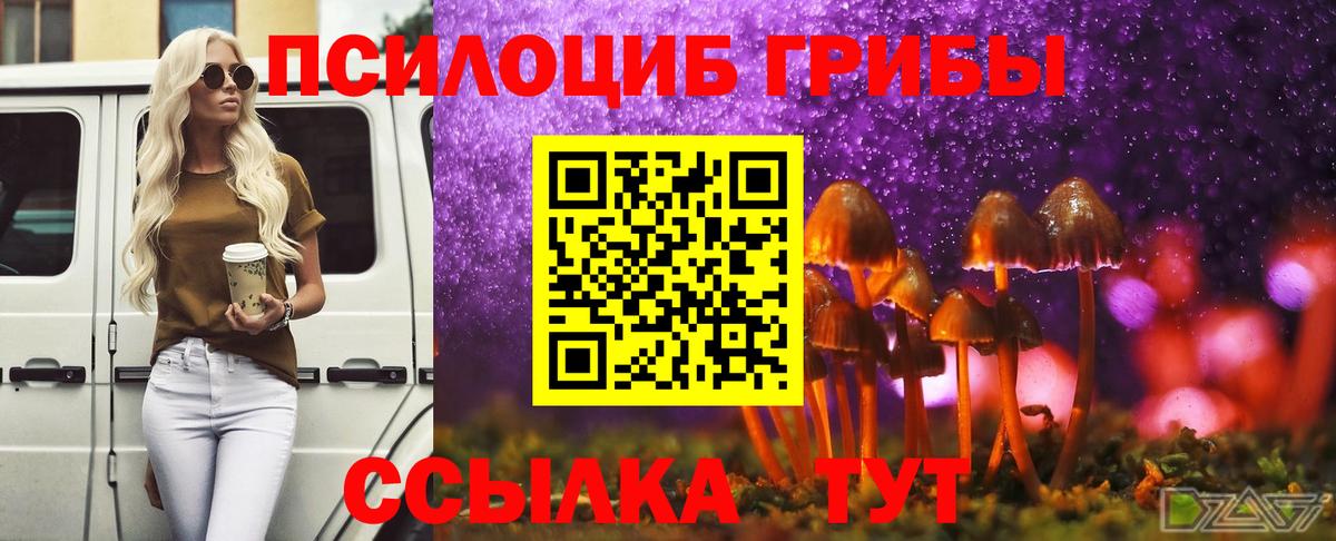 Зеленодольск  Псилоцибиновые грибы прущие грибы  Вход с VPN  Псилоцибиновые грибы MAGIC MUSHROOMS 