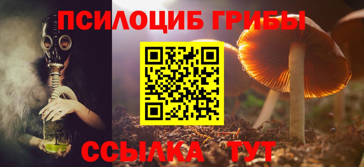 Галлюциногенные грибы Magic Shrooms Зеленодольск