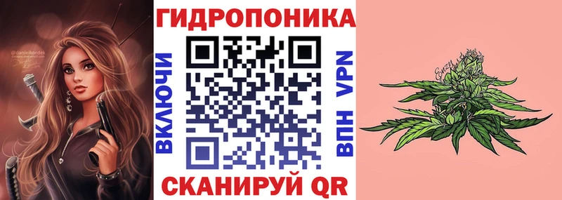 Шишки марихуана сатива  Зеленодольск 